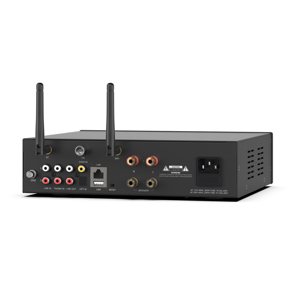 Arylic A100 power amplifier rear panel showing speaker terminals, RCA inputs and FM antenna port