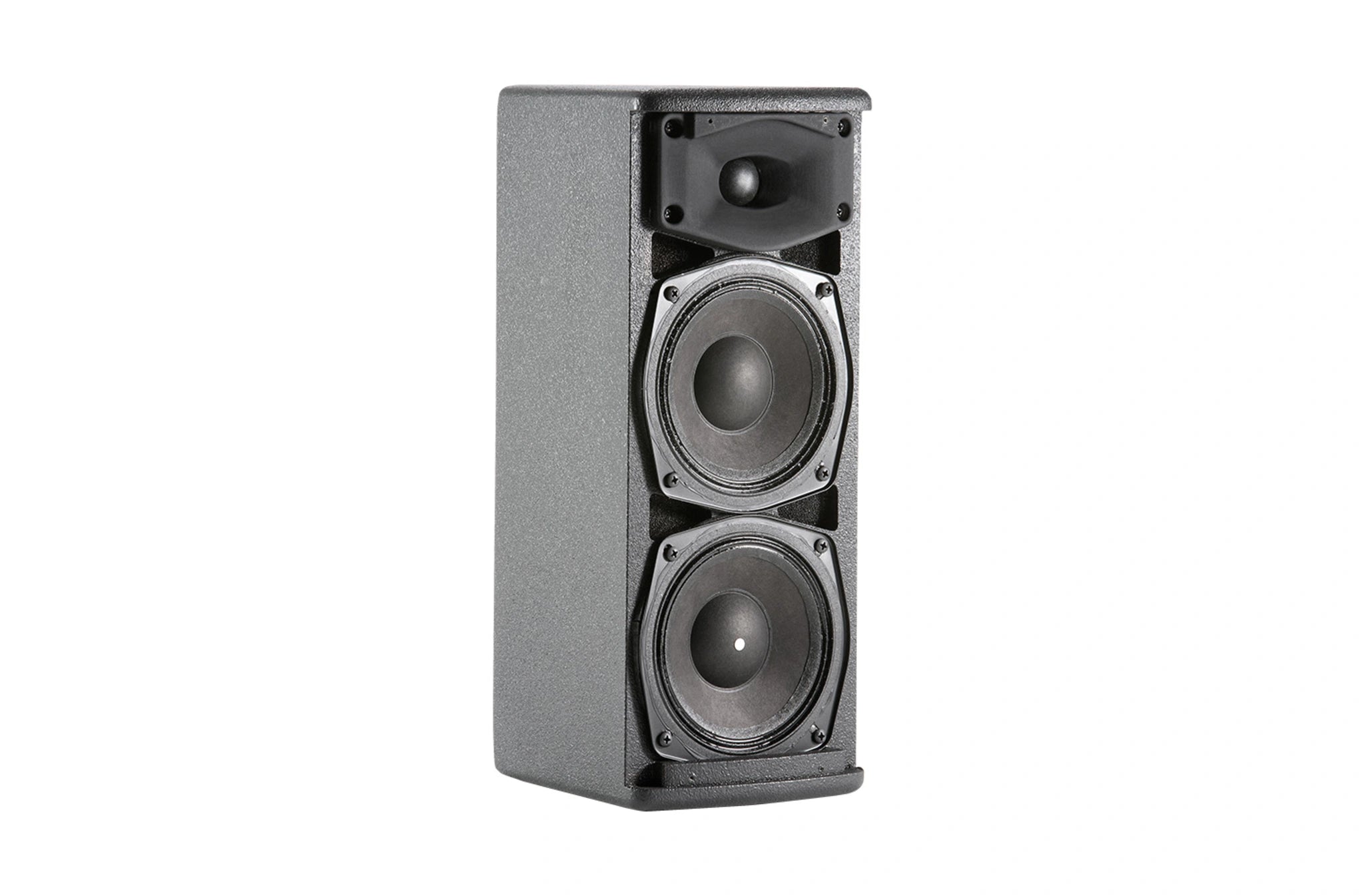 BL AC25 Ultra Compact Dual 5-inch 2-Way Loudspeaker – Full view with mounting hardware