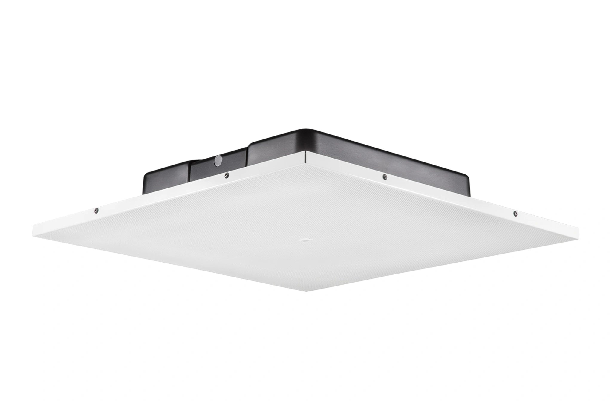 Front-facing JBL LCT 81C/TM Low-Profile Lay-In Ceiling Tile Loudspeaker showing 8-inch dual-cone driver