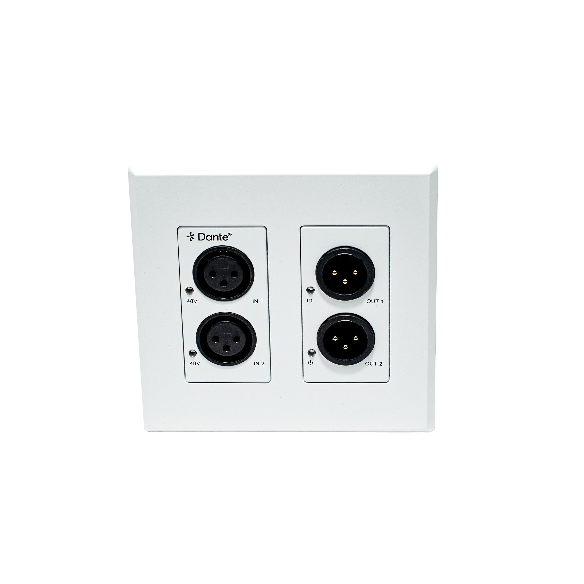 White wall plate with Dante audio connectors on a white background