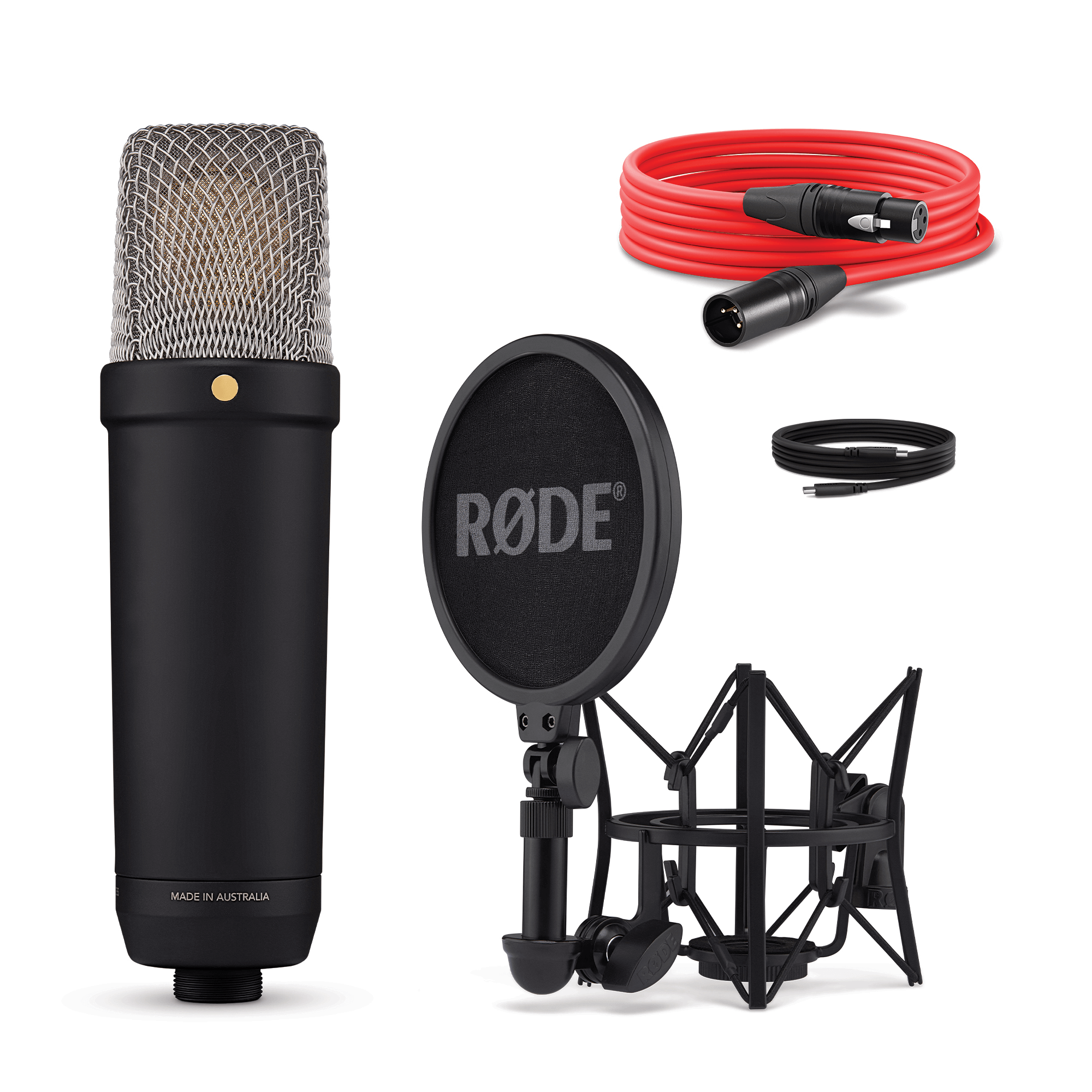 RODE NT1 Gen 5 nickel unboxed with shock mount, pop filter, USB-C and XLR cables in carry bag