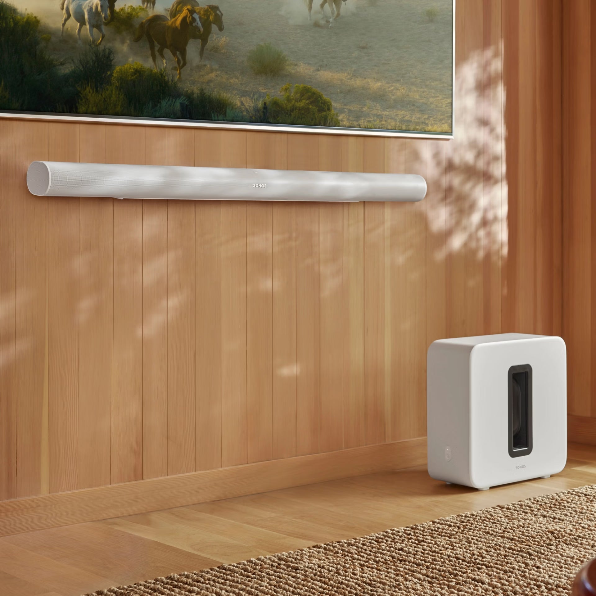 Soundbar and subwoofer on a wooden wall with a TV displaying a nature scene.