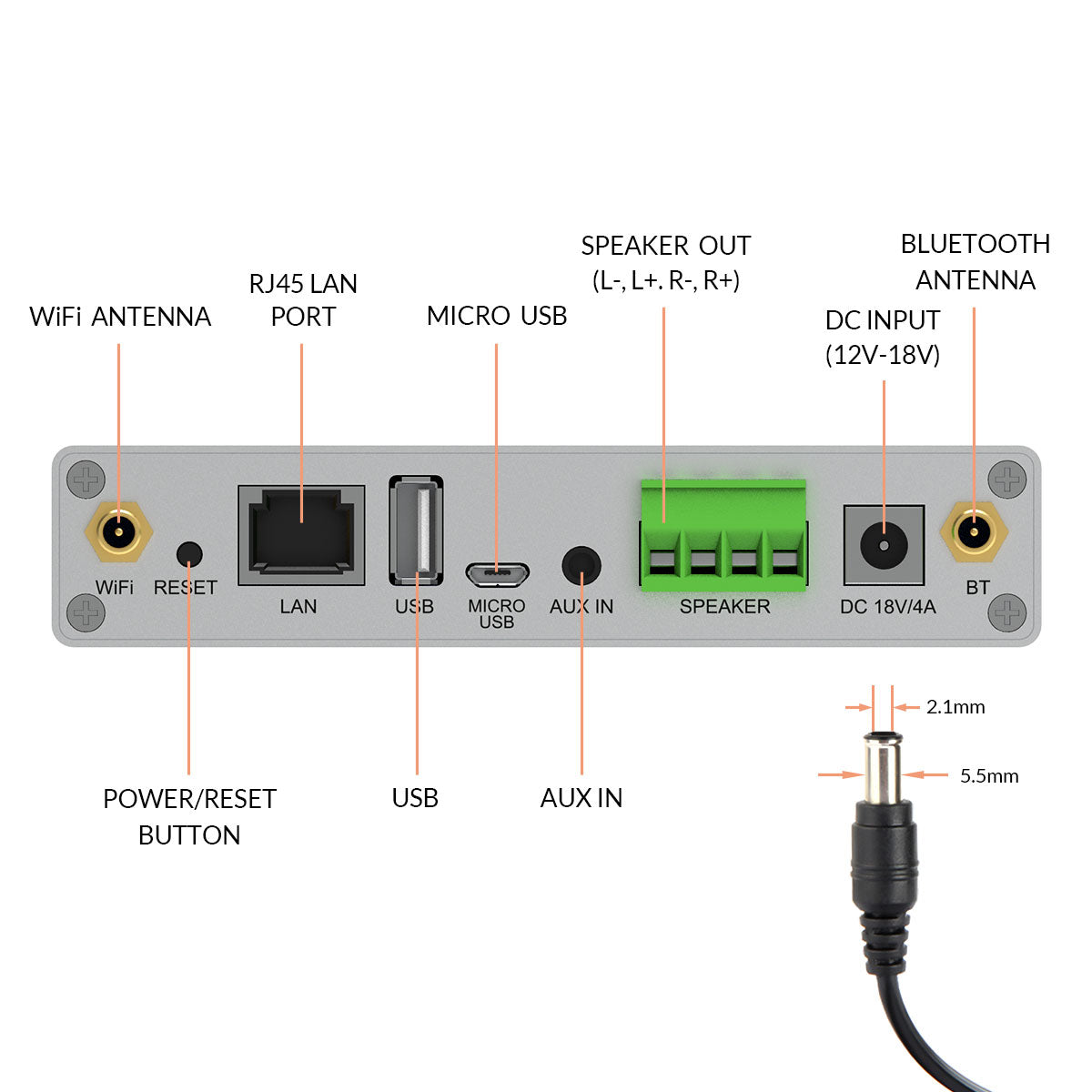 Back panel of Arylic A30+ 30W x 2 WiFi Mini Stereo Amplifier with labeled ports and connectors on a white background