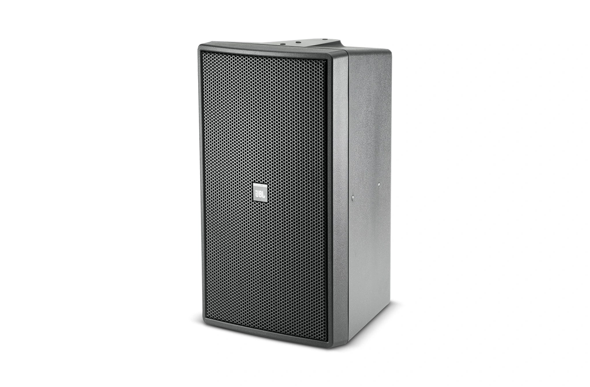 Front-facing JBL Control 29AV-1 Premium Indoor/Outdoor Monitor Speaker showing 2-way driver configuration