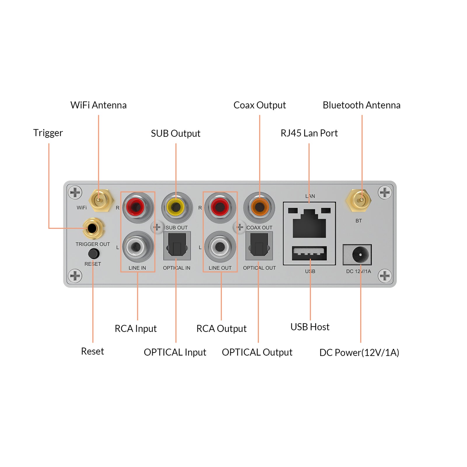 Arylic S50 Pro+ preamp rear panel showing RCA outputs, optical input and power connector