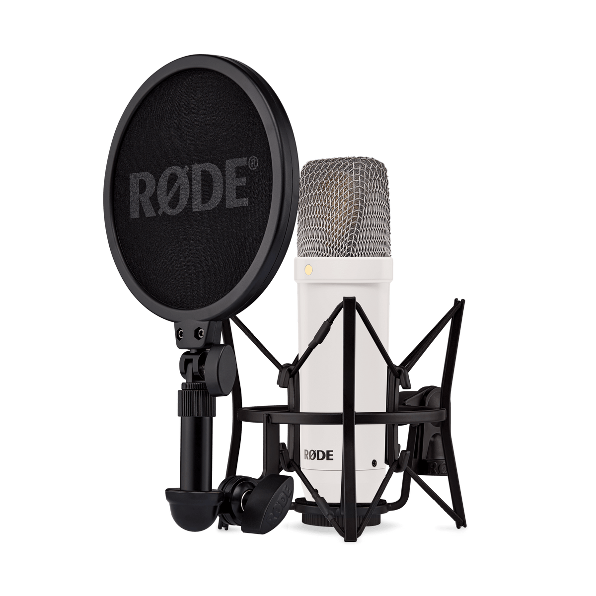 NT1 Signature Series XLR Condenser Microphone(WHITE)